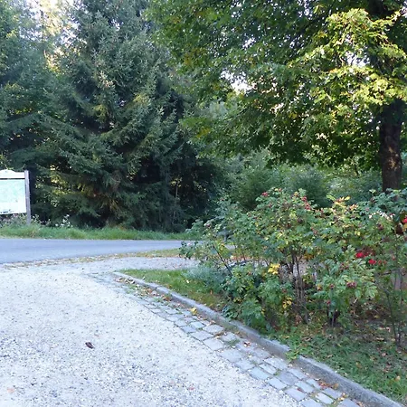 Alluring In In The Forest Apartment Schonsee