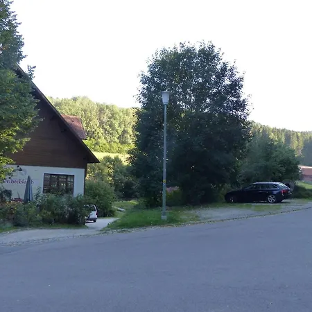 Alluring In Sch Nsee In The Forest Schonsee