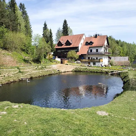 Alluring In Sch Nsee In The Forest * Schonsee