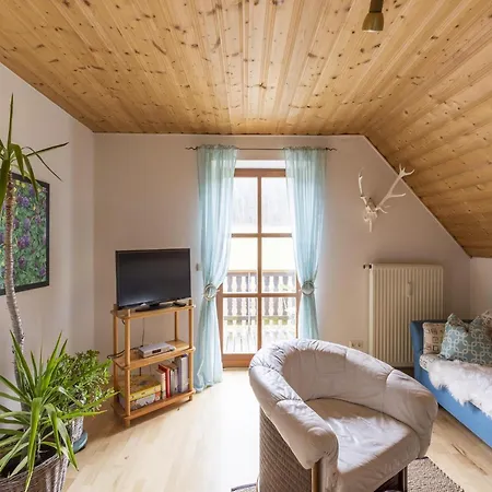 Apartment Alluring In In The Forest